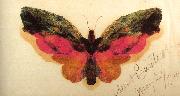 Butterfly Bierstadt